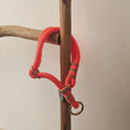 Bild in Galerie-Betrachter laden, Hundehalsband HILDE - Orange
