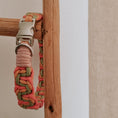 Bild in Galerie-Betrachter laden, Hundehalsband NALA | geflochtenes Design aus Paracord