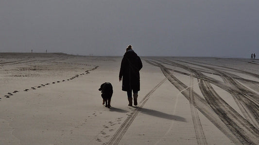 PAWTNER Titelbild