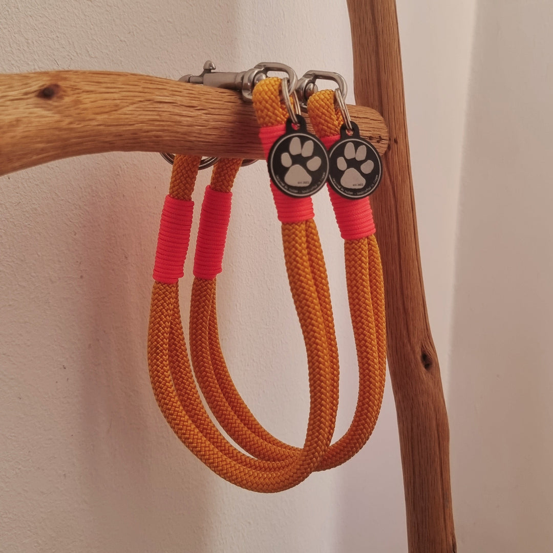 Hundehalsband GRINGO - Orange/Pink