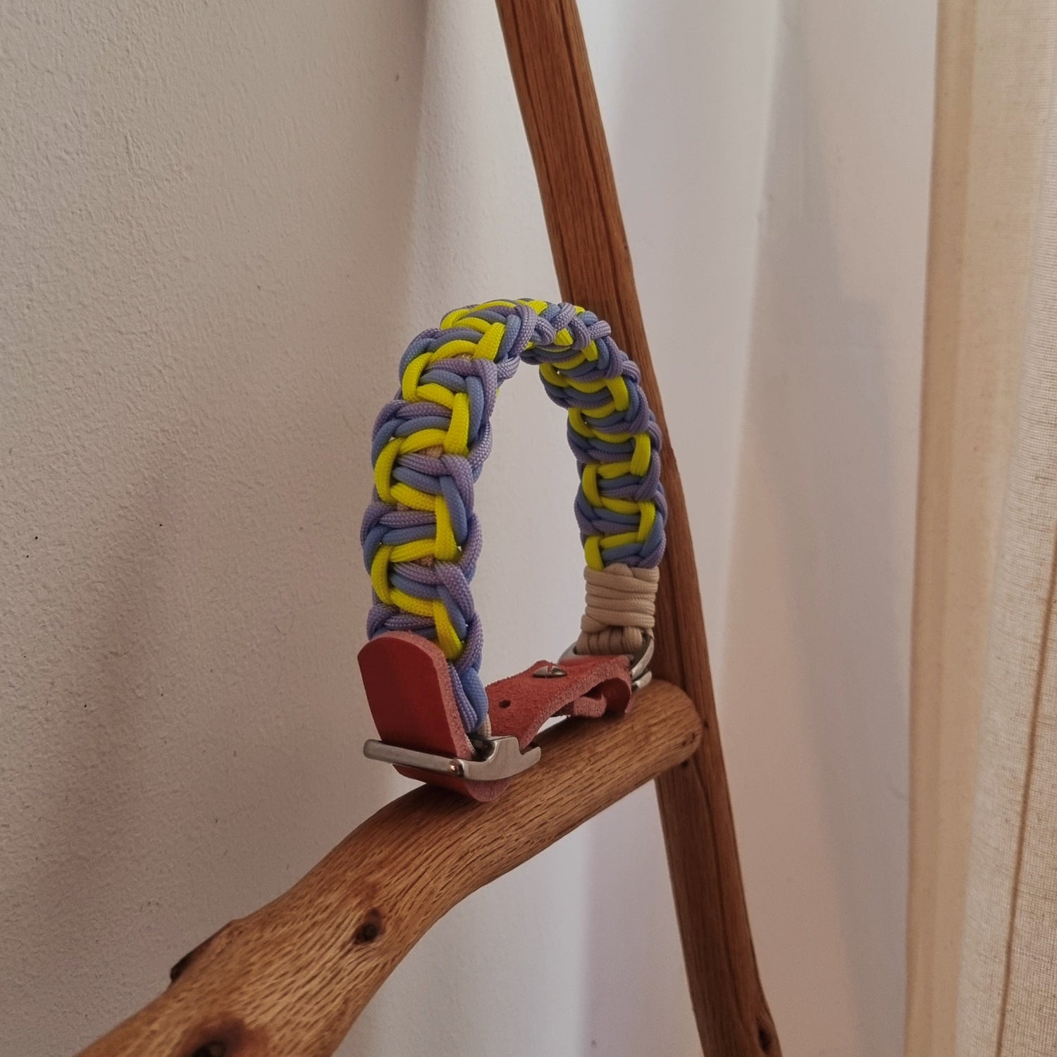 Einzigartig wie dein Vierbeiner | unsere Hundehalsbänder