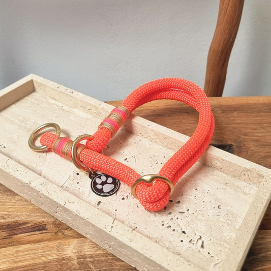Hundehalsband HILDE - Orange 10 mm