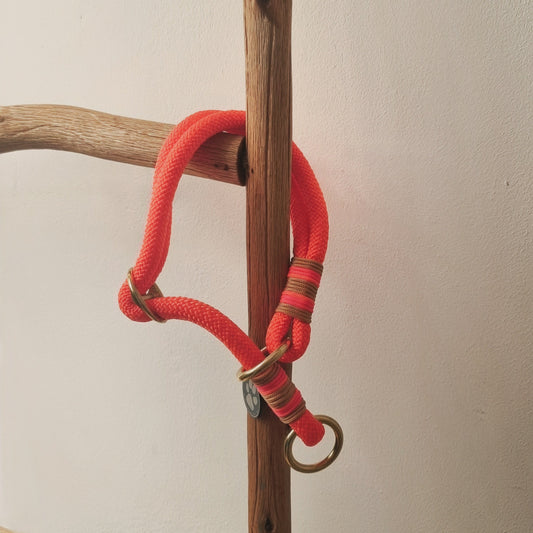 Hundehalsband HILDE - Orange