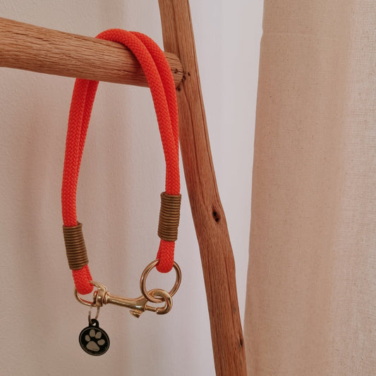 Halsband Gringo 10mm orange