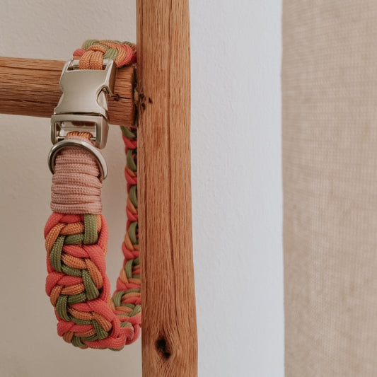 Hundehalsband NALA | geflochtenes Design aus Paracord