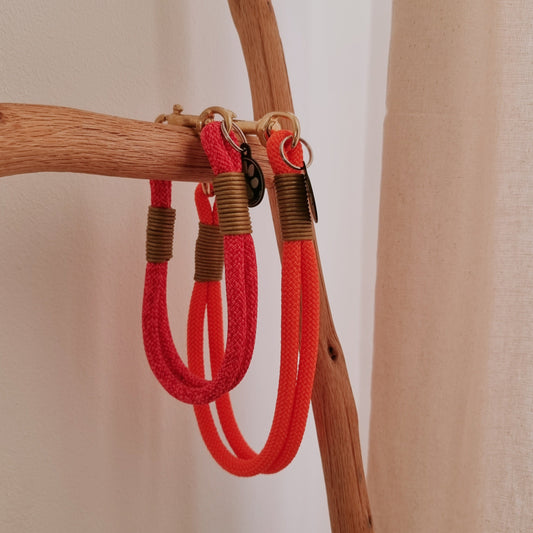 Hundehalsband Gringo 8 mm