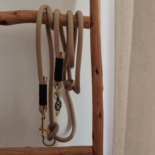 Hundeleine Lotte 10mm beige