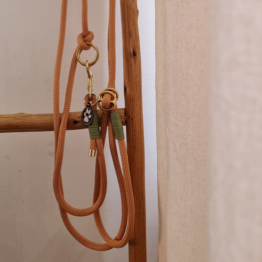Hundeleine Retriever in Copper