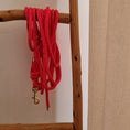 Bild in Galerie-Betrachter laden, Hundeleine Schleppi 8 mm strawberry
