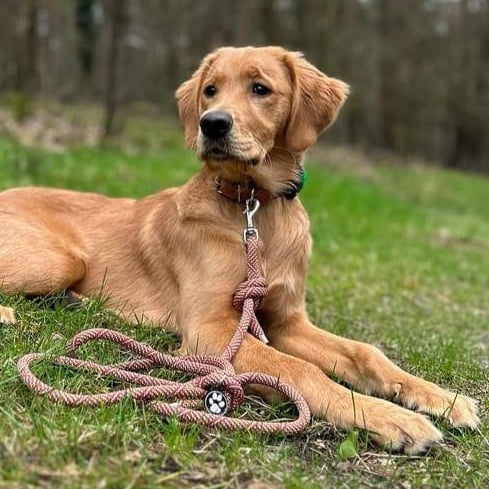 Kundenbild BELLA