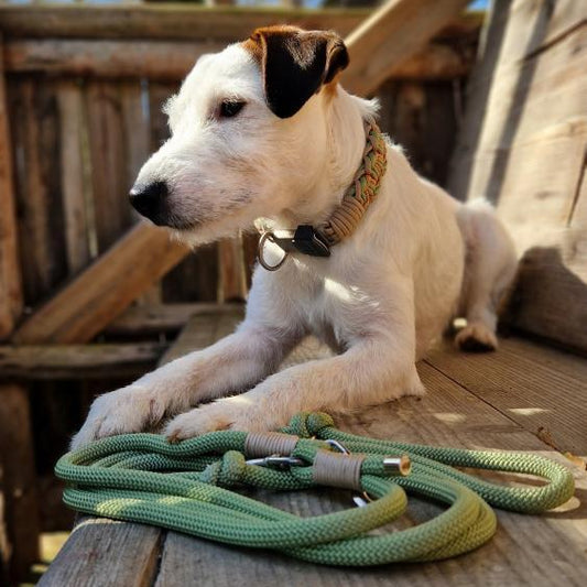 Loui's Frühlingsset