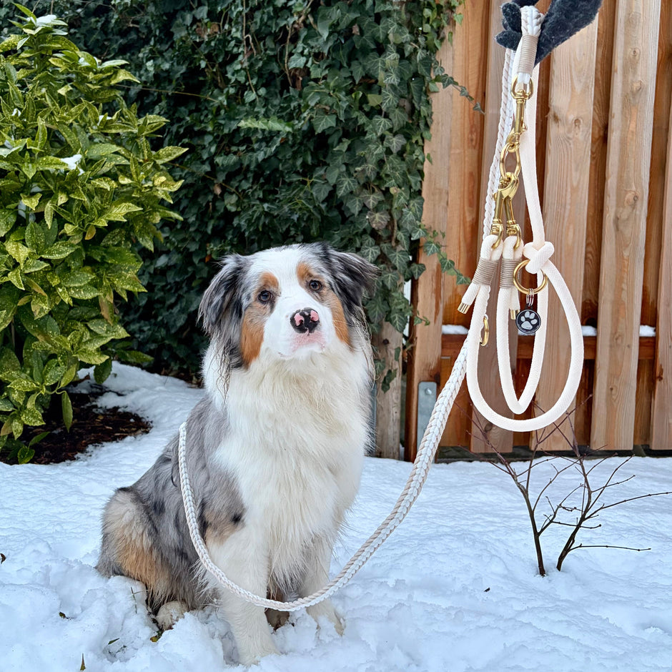 Mix & Match Hundeleine - Foto Maya